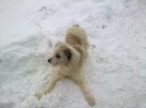 18022012261