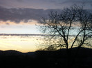 IMAG0001