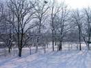 IMAG0023
