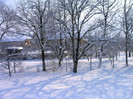 IMAG0028