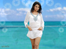 ♥♥♥Dill Mill Gayye ♥♥♥