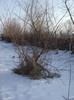 DSCF6332