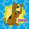 scooby 11