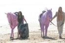 ii pe plaja cu un indian ciudat si cai roz