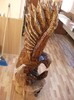 DSCF7396