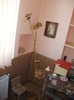 DSCF7403