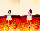 tumblr_lswv1hZvbo1r2hrs2o1_500