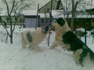 18022012