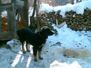 DSCF0044