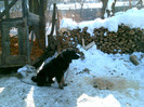 DSCF0042