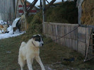 fraga 004