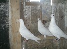 PICT0241
