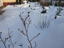 DSCF9404