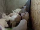 Fotografii-0056