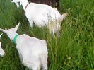 Fotografii-0076