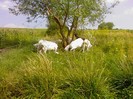 Fotografii-0092