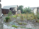DSC00452