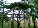 Image005.