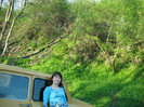 file 088