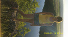S73F6119