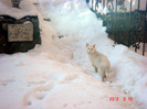 DSC02236