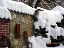 DSC02229
