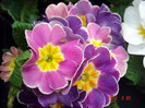 DSC02269