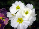 DSC02268