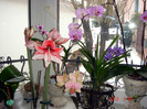 DSC02259