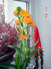 DSC02273