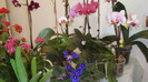 DSC05261