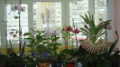 DSC05279