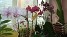 DSC05290