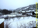 2011-02 MOECIU LAUR 080