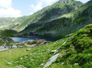 DSCF4995