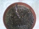 21 febr 2012 012