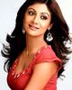 shilpa shetty