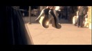 Selena Gomez & The Scene - Who Says 082