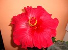 dione