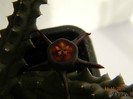 DSCN2766