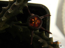 DSCN2768