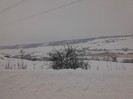 IMG_20120215_124602