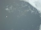 DSC04667