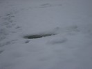 DSC04668