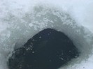 DSC04669