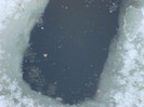 DSC04670