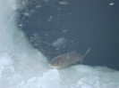 DSC04678