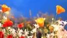 Selena Gomez Fly To Your Heart FULL Music Video_2 058