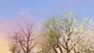 Selena Gomez Fly To Your Heart FULL Music Video_2 339