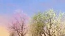 Selena Gomez Fly To Your Heart FULL Music Video_2 340